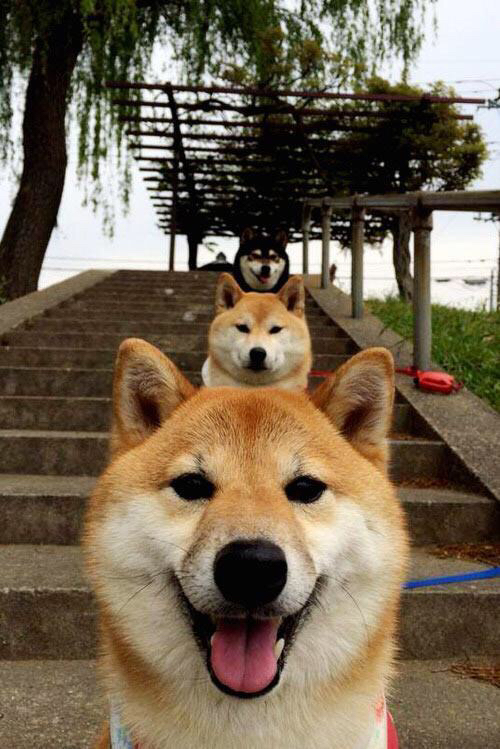 NBA赛季MVP候选人动态,nba今年mvp候选人