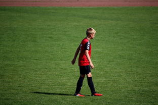 JIUYOU GAMING-NBA球员高原训练对平原比赛状态的影响,平原运动员进行高原训练原因