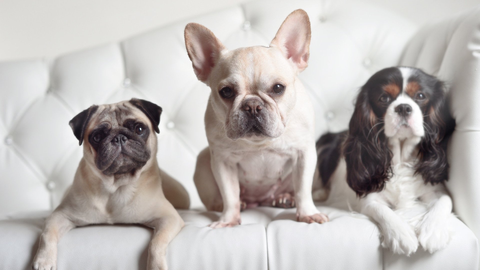 中国九游体育-中超新秀出场时间与贡献度分析，中超选秀