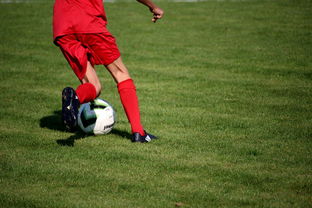 九游手机游戏-中超球员年度技术评分标准体系，中超球员技术统计