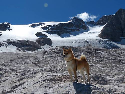 德甲球队利用视觉注意力追踪优化传球决策效率分析，视觉足球